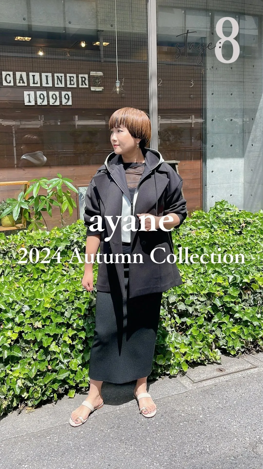 ayane 2024 Autumn Collection
