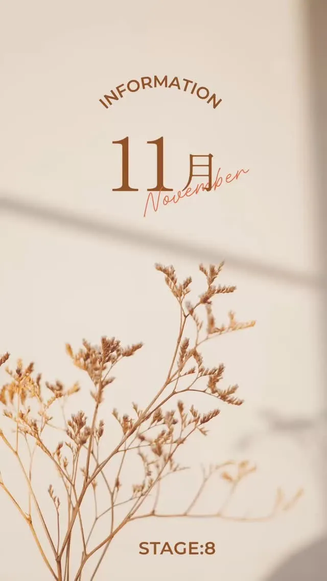 11月も宜しくお願い致します！